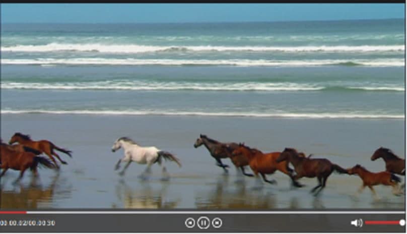 布卡直播软件特色及功能介绍