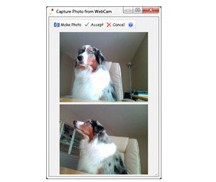 Caricature Photo To Cartoonͨѧ