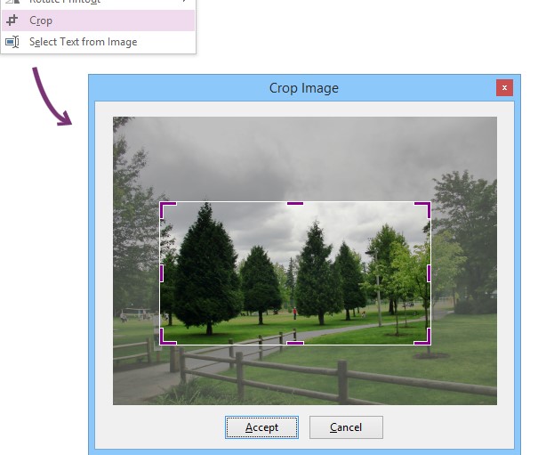 OnetasticԶʽ޸ͼĽѧ