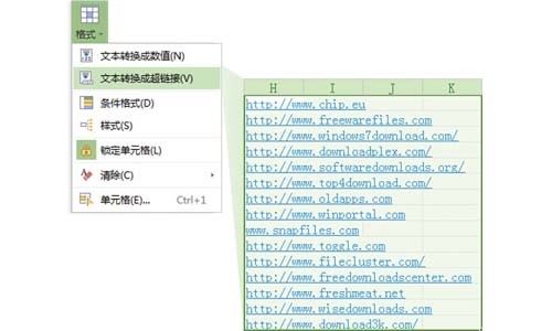 WPSOffice2013רҵصͳ