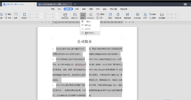 WPS�������ص���������������ѧ