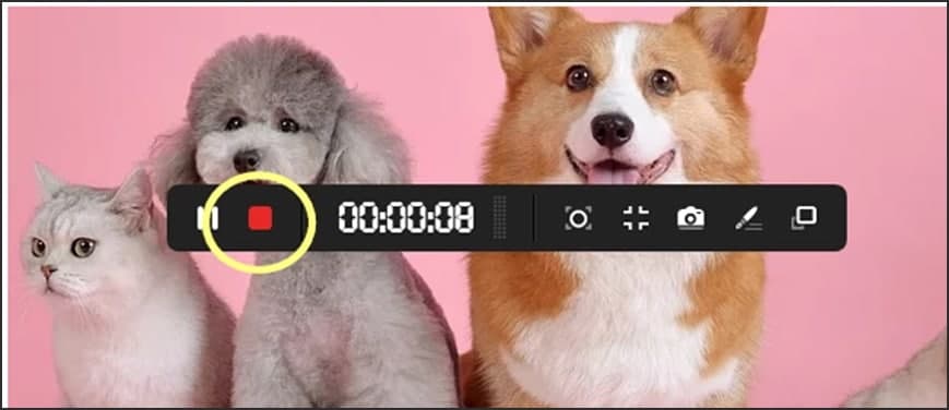 ¼(ApowerREC)ٷؾ۹ƹýѧ