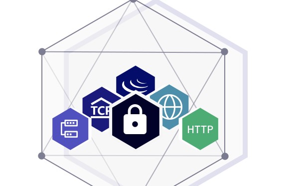 ��ӥ��DDOS����ǽ��������