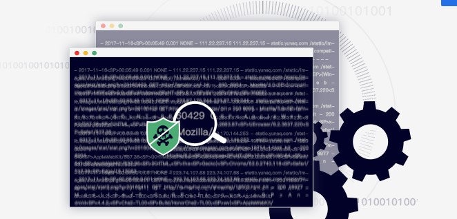 ��ӥ��DDOS����ǽ��������