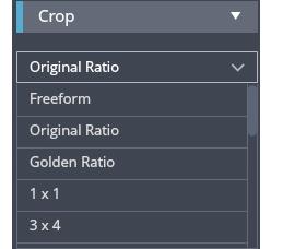 FotoJetDesignerٷزüý̳