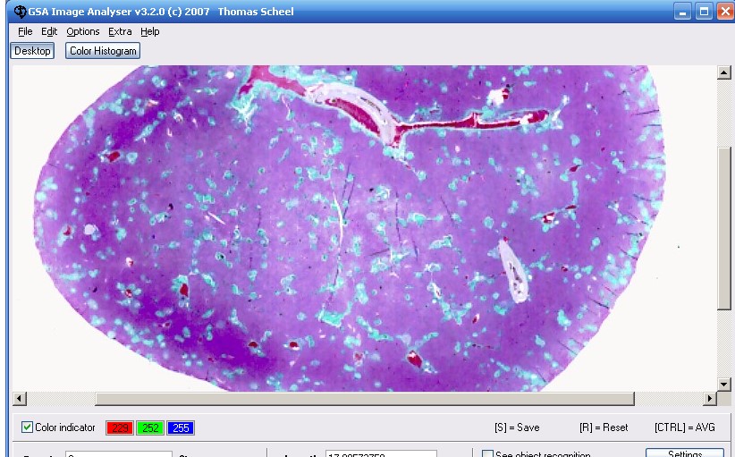 GSA URL Redirect PRO�����ռ仭�����ý�ѧ