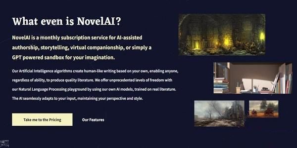 novelaiͼɵڲԵַʲô novelaiڲַ[ͼ]ͼƬ1