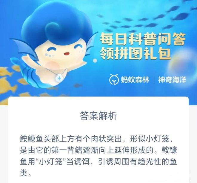 图:神奇海洋最新今日答案8.26