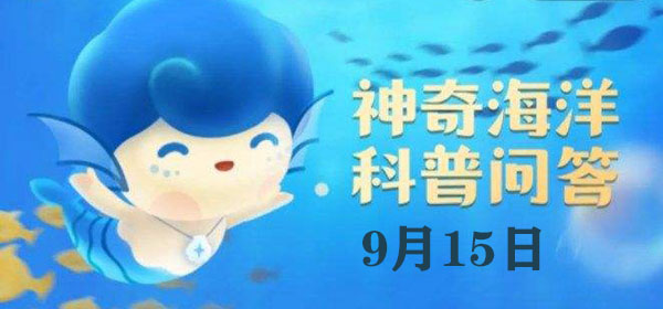 溣մ9.15һ£“”ĵԴʲô