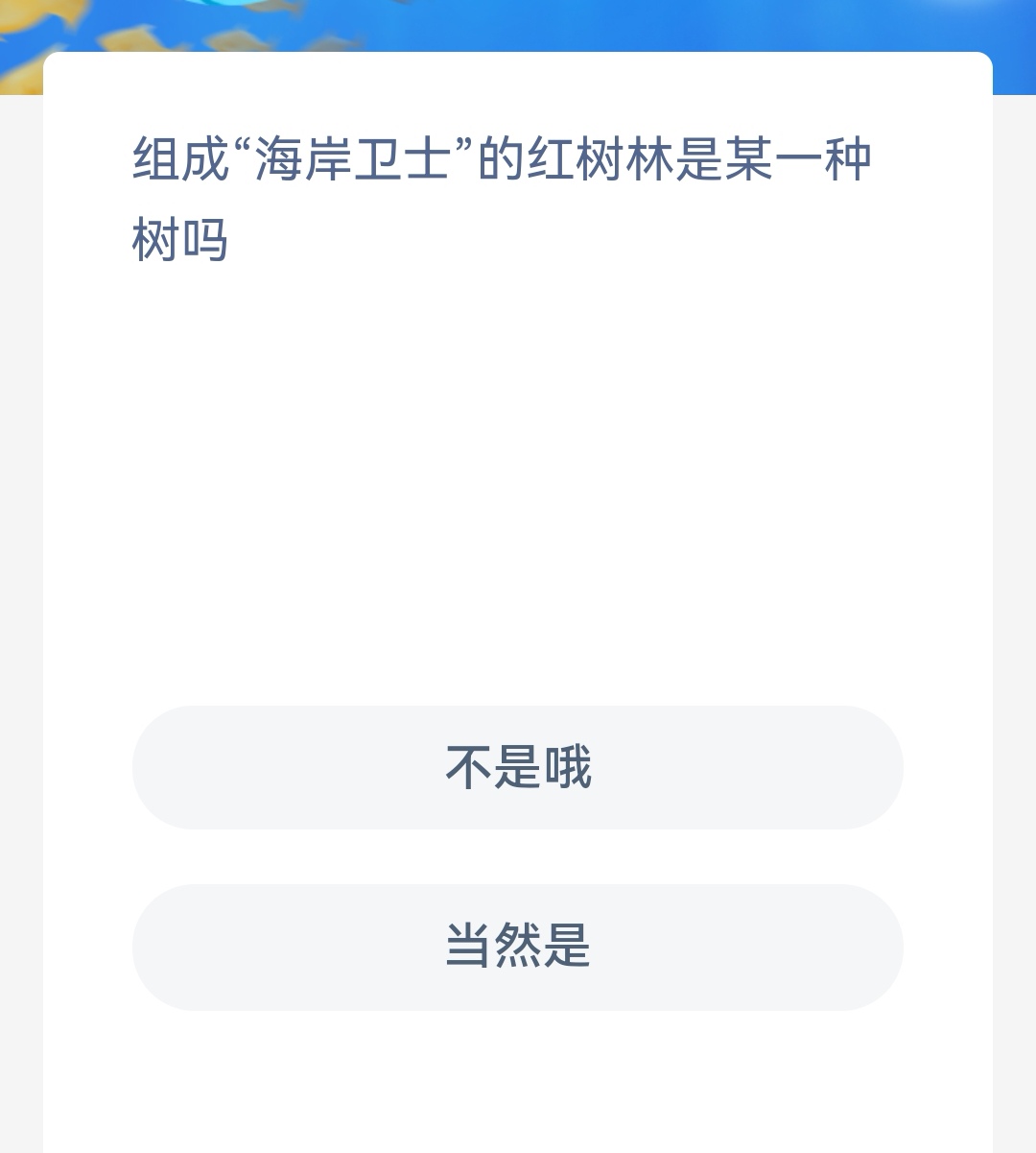 ͼ溣մ9.19 ʿĳһŶȻ
