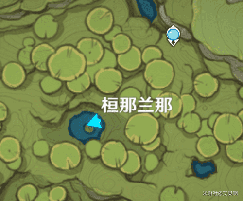 图:原神桓那兰那拍摄攻略