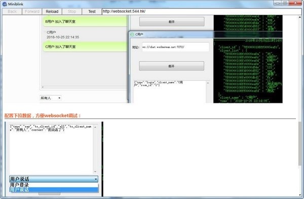 ͼMiniblinkٷ湦ܼܽɫ