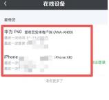 图:爱奇艺在哪里可以看到几个人登录 爱奇艺看到几个人登录方法