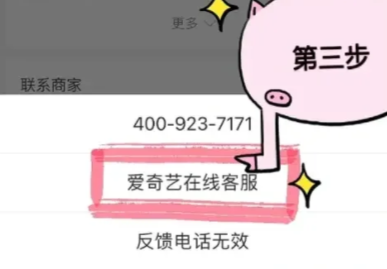 图:爱奇艺会员充错账号了怎么退款